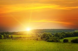 field, sun rise and blue sky